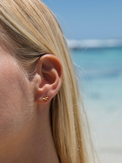 Malakai the label - Seastar Studs in 18k Gold Vermeil